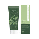 EIIN Ganghwa Mugwort Foam Cleansing 100ml