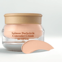 SKINFOOD Salmon Darkcircle Concealer Cream No. 0 Salmon Light 10g