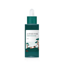 Pine Calming Cica Ampoule