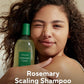 AROMATICA Rosemary Scalp Scaling Shampoo