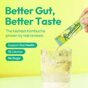 TEAZEN Green Mandarin Lime Kombucha Tea 10 Sticks, 1.76oz