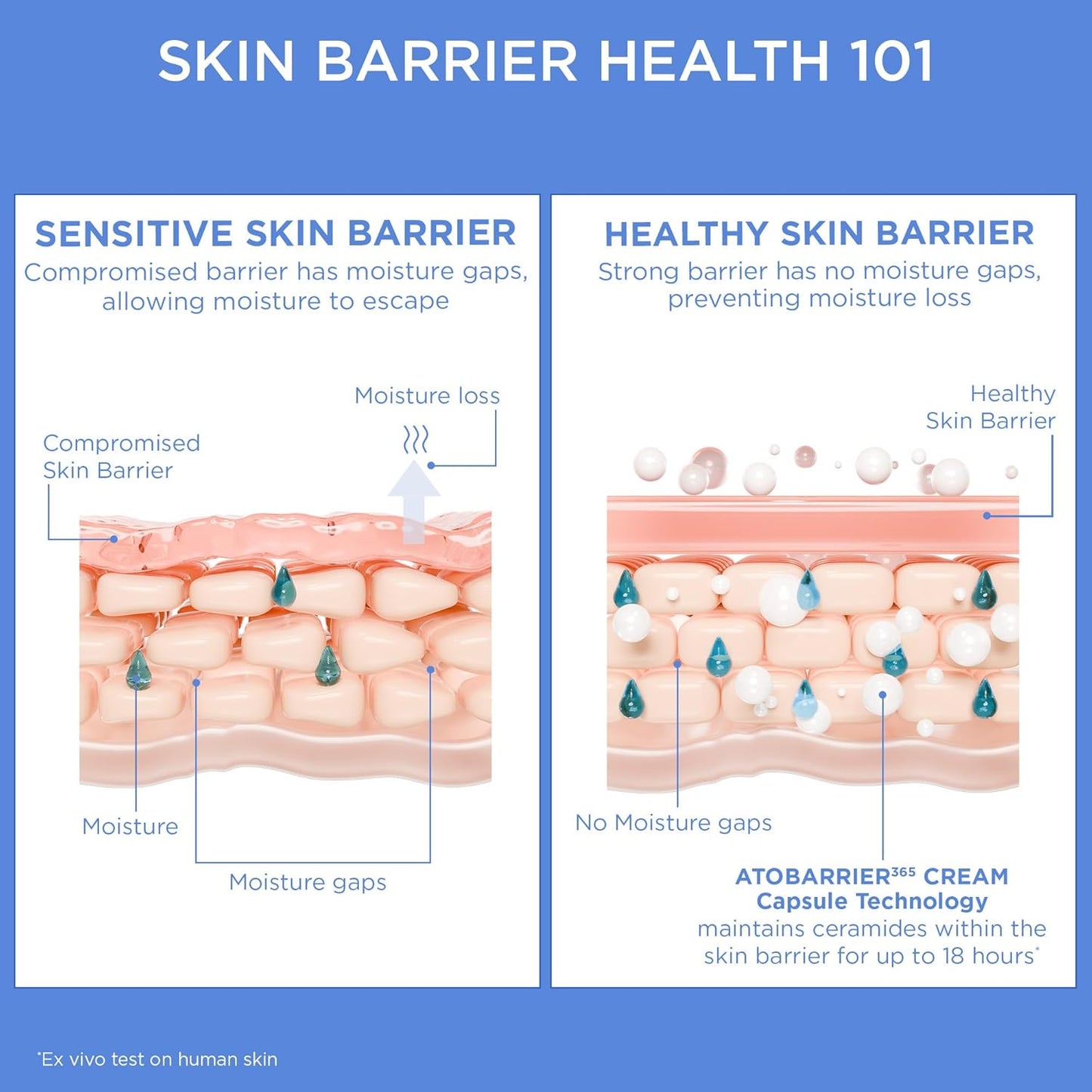 AESTURA ATOBARRIER365 Cream with Ceramide (2.70 Fl.Oz/ 80ml)