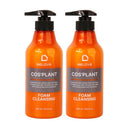 Be Love Cos Plant Foam Cleansing 500ml