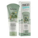Farmstay Farm's Cleansing Foam Mugwort 180ml
