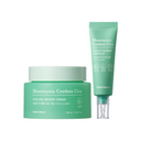 TONYMOLY Houttuynia Cordata Cica Ampoule & Cream Set