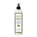 MIGABEE Witch Hazel Centella Essential Skin Toner Mist 300ml